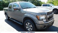 2012 Ford F-150 FX4