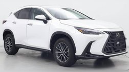 2025 Lexus NX 250 Premium