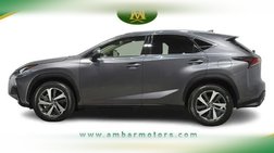 2019 Lexus NX 300 F SPORT