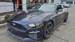 2022 Ford Mustang EcoBoost