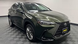 2022 Lexus NX 350 Luxury