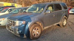 2010 Ford Escape Limited