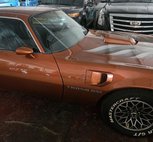 1979 Pontiac Firebird 