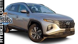 2024 Hyundai Tucson Hybrid Blue