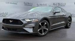 2019 Ford Mustang EcoBoost