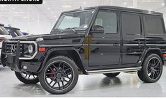 2013 Mercedes-Benz G-Class G 550