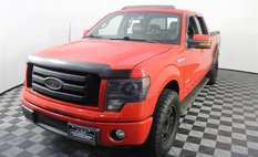2013 Ford F-150 FX4