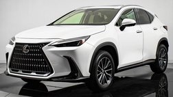 2025 Lexus NX 350 Premium