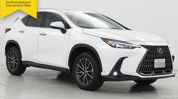 2025 Lexus NX 250 Premium