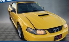 2004 Ford Mustang GT Deluxe