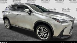 2022 Lexus NX 350h Luxury