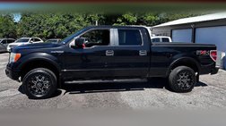 2010 Ford F-150 FX4