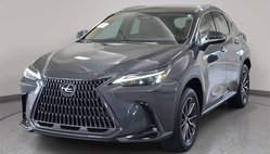 2024 Lexus NX 350h Premium