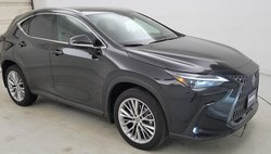2024 Lexus NX 350 Luxury