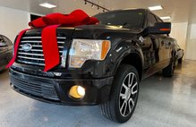 2010 Ford F-150 Platinum