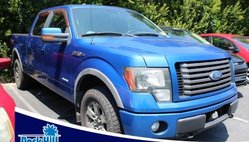 2011 Ford F-150 FX4