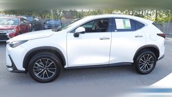 2024 Lexus NX 250 Premium