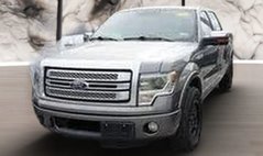 2013 Ford F-150 Platinum