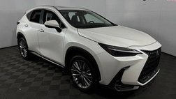 2022 Lexus NX 350 Luxury