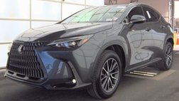 2024 Lexus NX 250 Premium