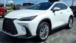 2022 Lexus NX 350h Luxury
