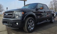 2014 Ford F-150 FX4