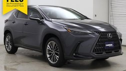 2025 Lexus NX 350 Luxury