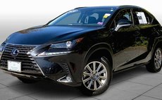 2020 Lexus NX 300h Base
