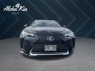 2019 Lexus UX 250h Luxury