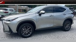 2025 Lexus NX 250 Premium
