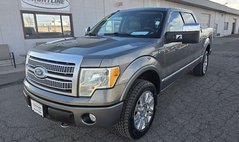 2010 Ford F-150 Platinum