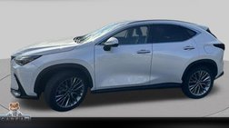 2022 Lexus NX 350h Luxury