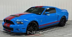 2010 Ford Shelby GT500 Base
