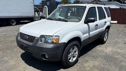 2007 Ford Escape XLT