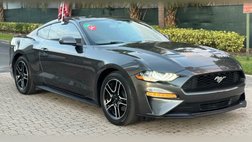2019 Ford Mustang Base
