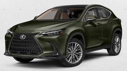2024 Lexus NX 350h Luxury