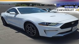 2022 Ford Mustang EcoBoost