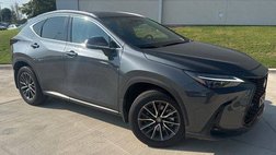 2024 Lexus NX 350h Luxury