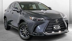 2025 Lexus NX 250 Base