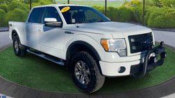 2013 Ford F-150 FX4