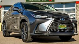 2024 Lexus NX 350h Premium