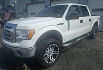 2009 Ford F-150 XL