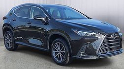 2025 Lexus NX 250 Premium