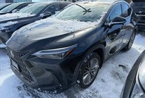 2022 Lexus NX 350h Luxury