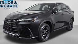 2024 Lexus NX 350 Premium
