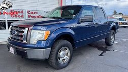 2010 Ford F-150 XLT