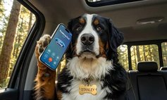 2005 Toyota Tacoma V6