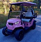 2024 Other Makes LSV