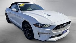 2020 Ford Mustang EcoBoost