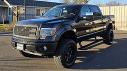 2010 Ford F-150 Platinum